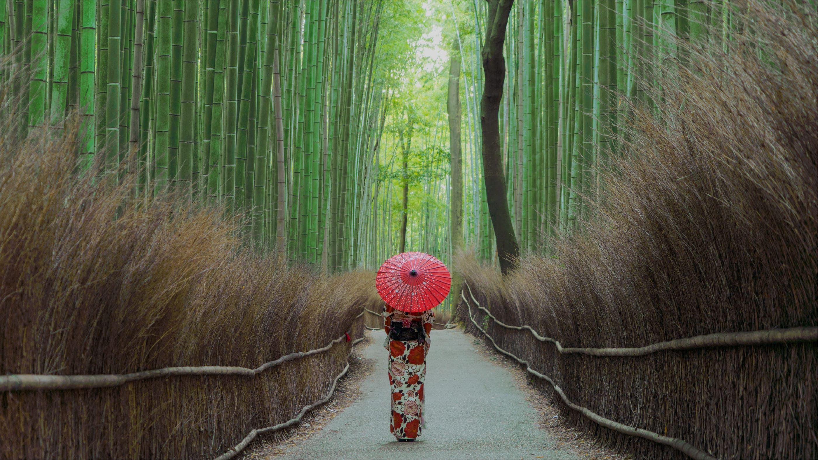 着物を身近に、京都を楽しむ。